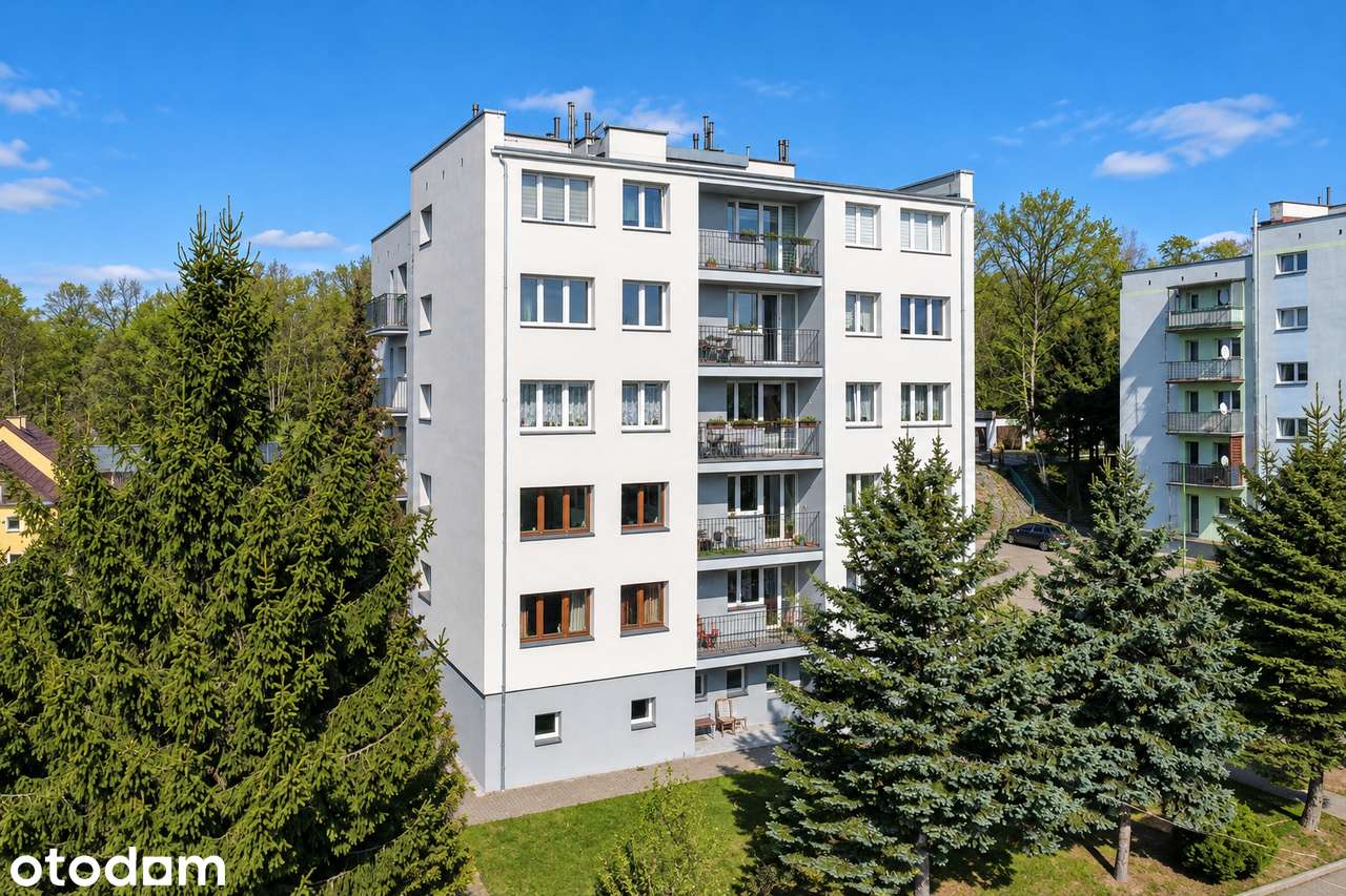 Mieszkanie na sprzedaż, 3 pokoje, 48 m², Olszyna