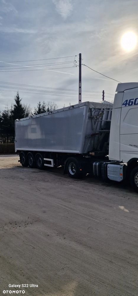 Bodex - 7