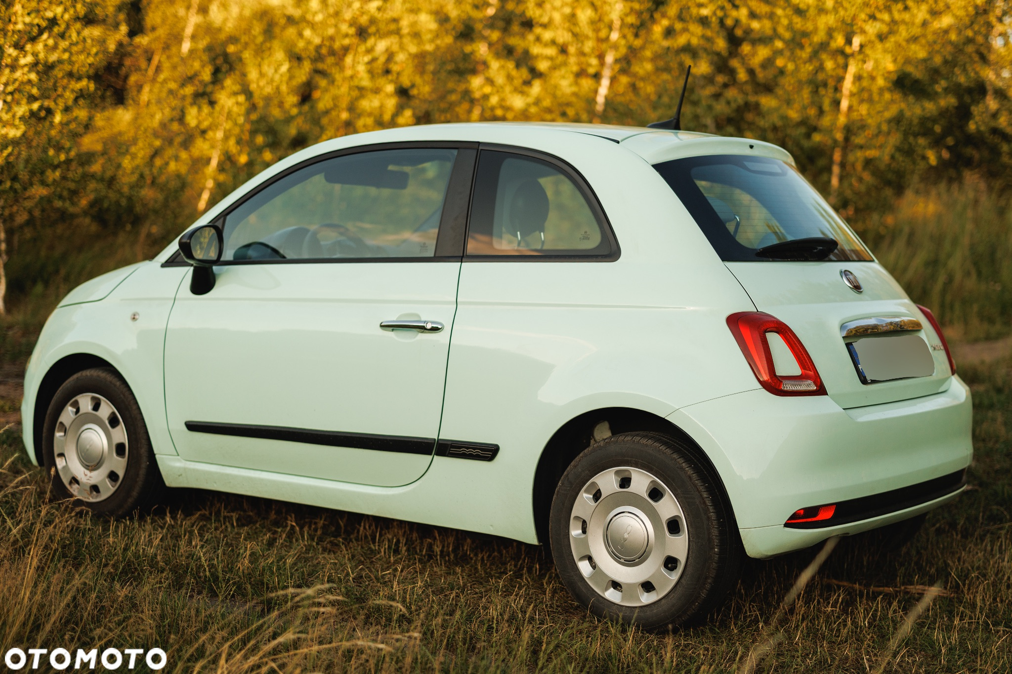 Fiat 500 1.0 Hybrid Pop - 5