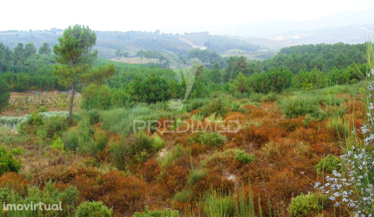 Terreno urbanizável em Abaças / Vila Real - Grande imagem: 5/14