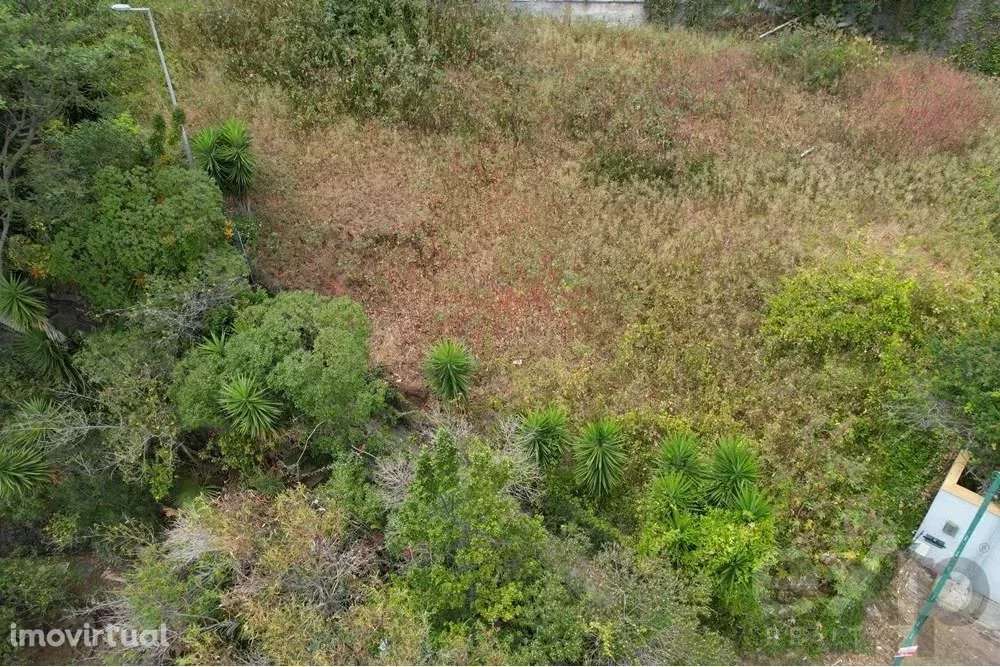 Lote de Terreno para Venda em GARAJAU - Frente ao Mar com Baixa Altitu - Grande imagem: 4/4