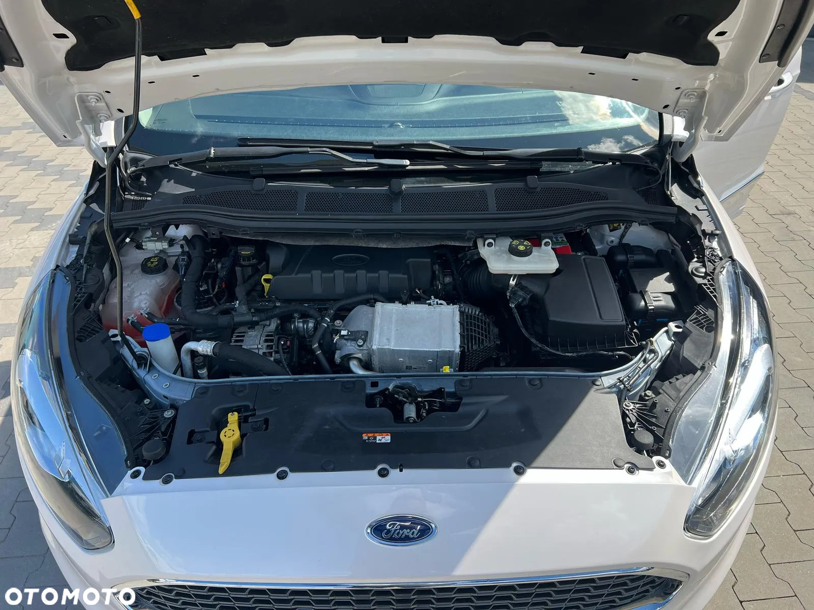 Ford S-Max 2.0 EcoBlue AWD Vignale - 8