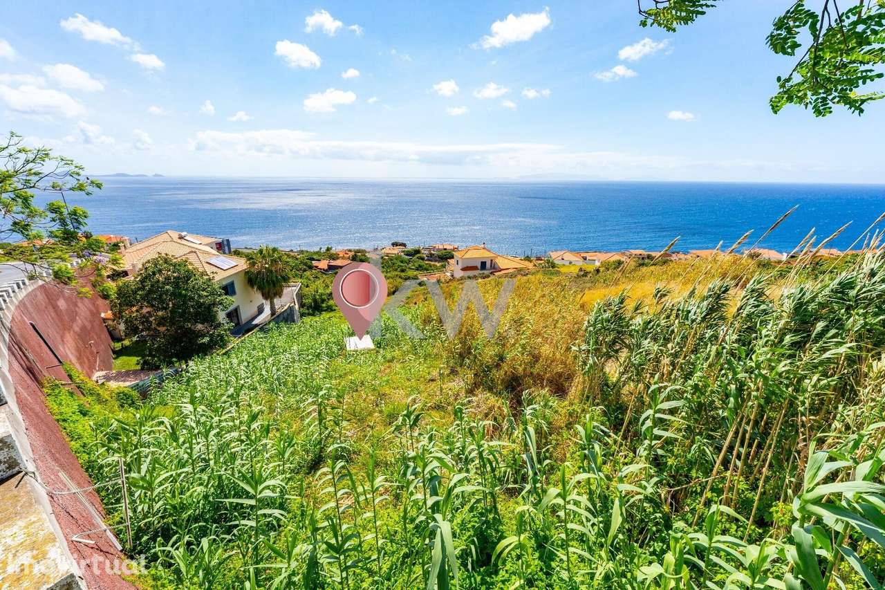 Terreno 1460 m2 - Grande imagem: 3/8