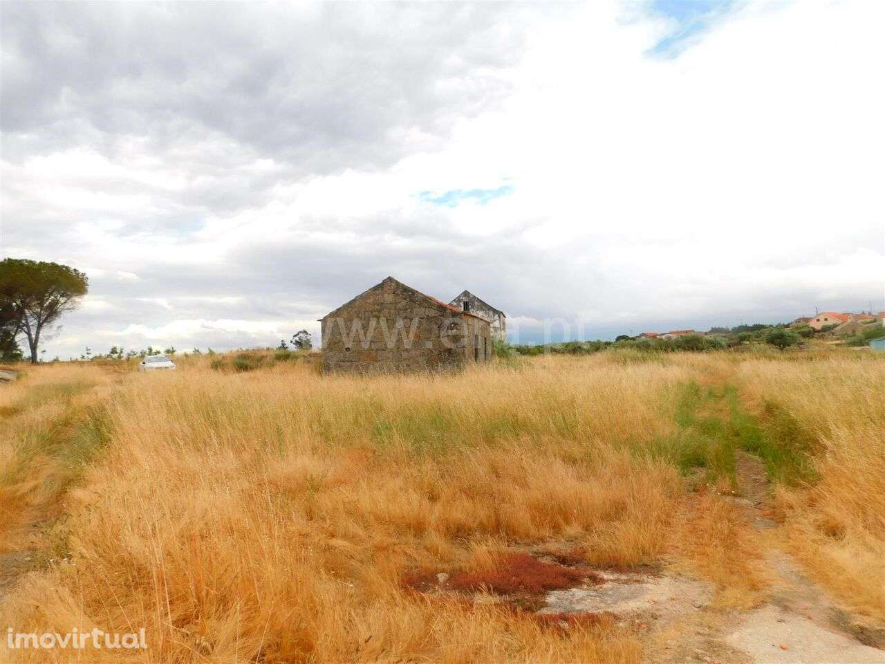 Quinta / Seia, Tourais e Lajes - Grande imagem: 3/12
