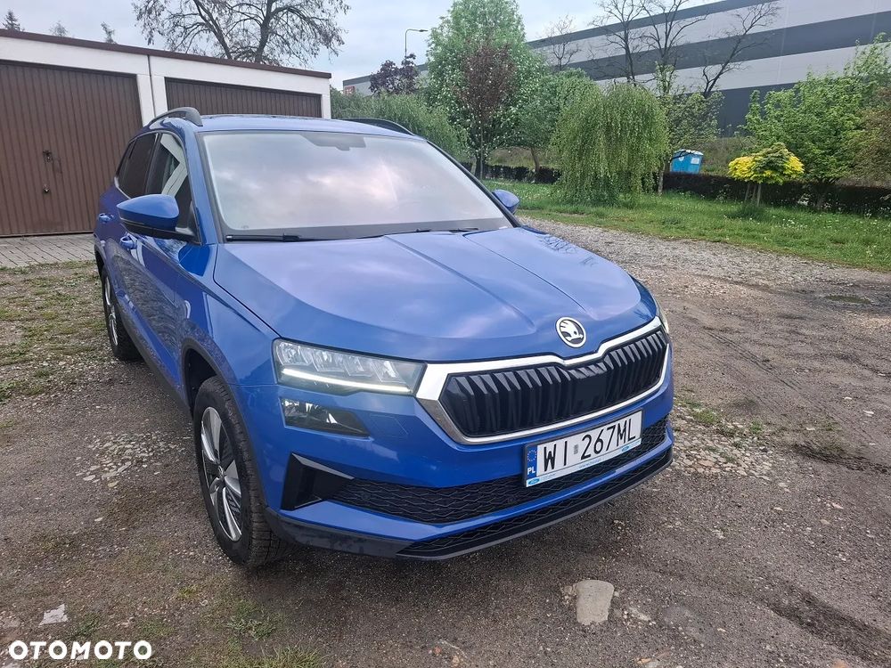 Skoda Karoq - 10
