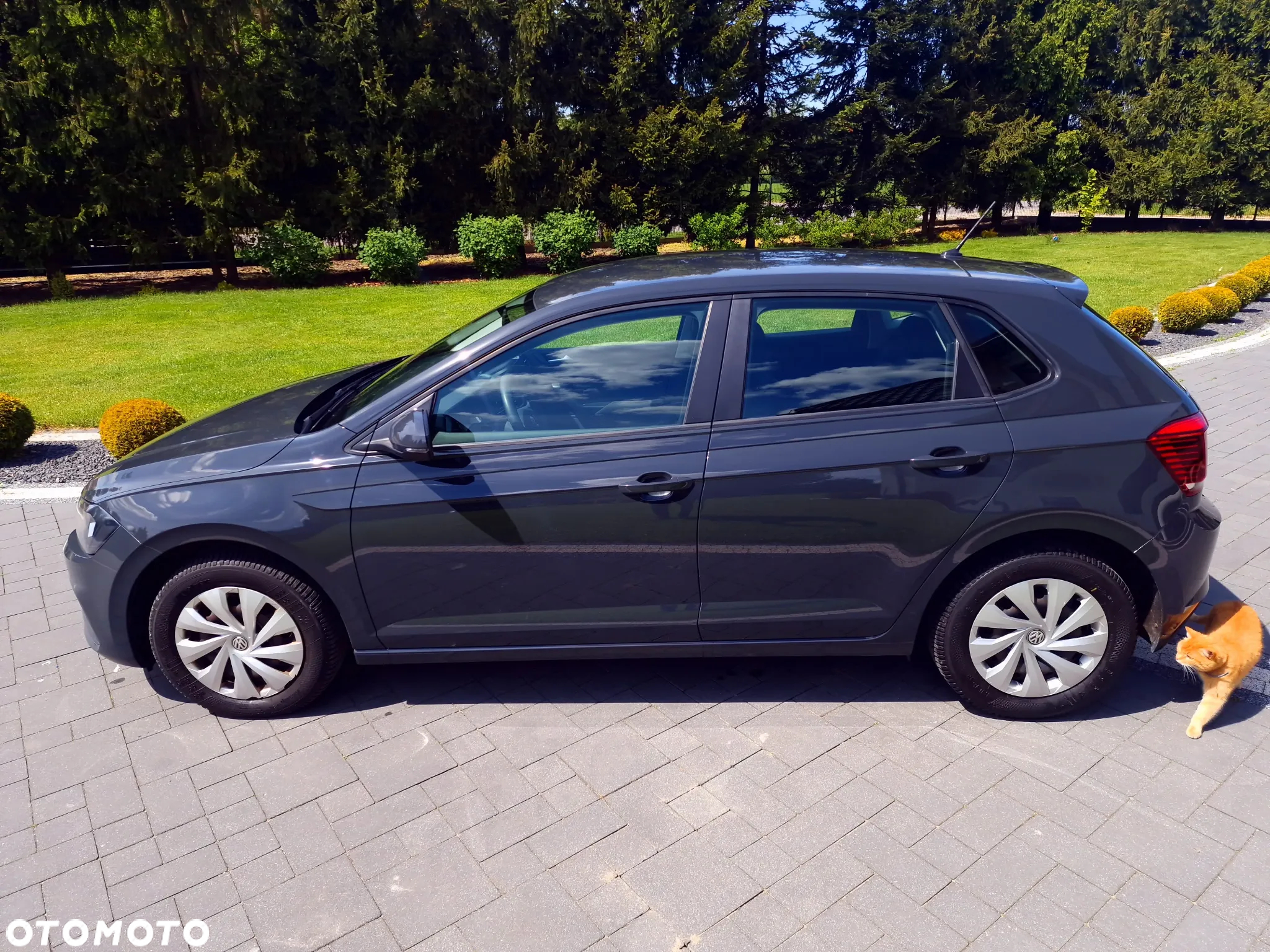 Volkswagen Polo 1.6 TDI SCR Trendline - 7