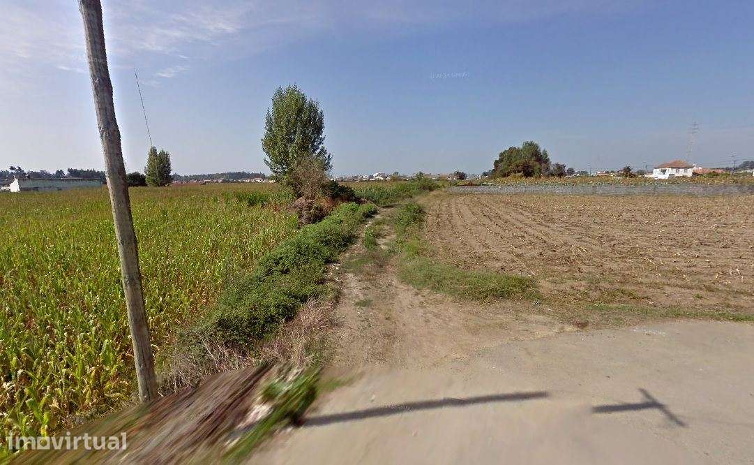 Terreno agricola - Válega - Ovar - Grande imagem: 3/4