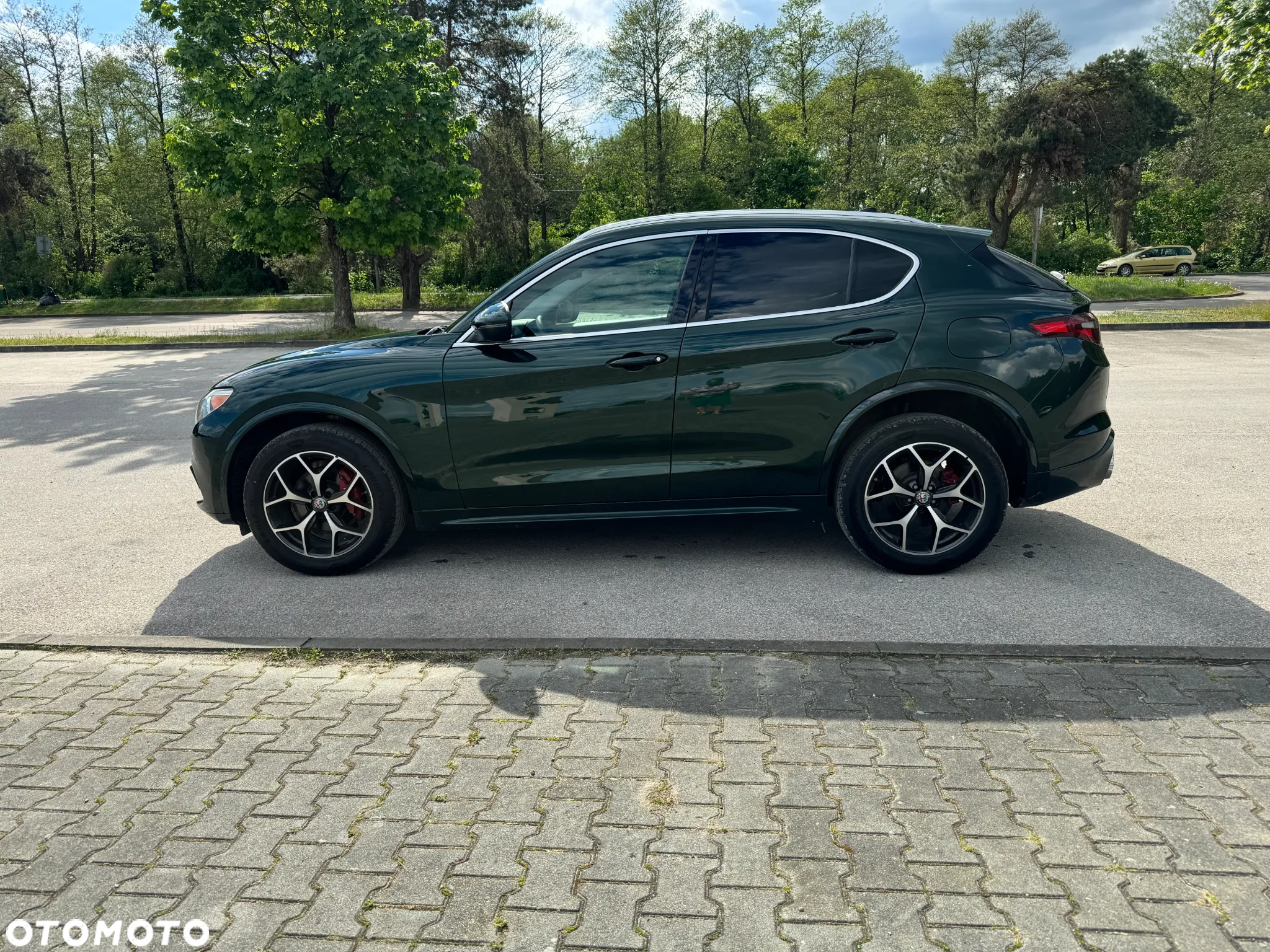 Alfa Romeo Stelvio 2.0 Turbo TI Q4 - 10
