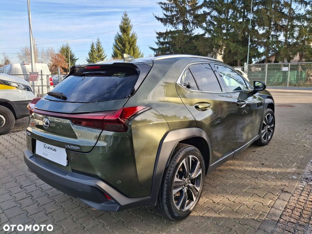 Lexus UX 250h GPF Business 2WD - 16
