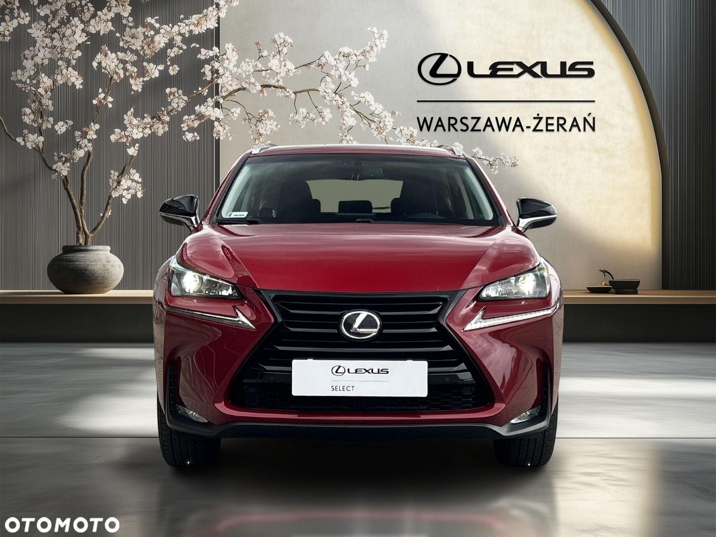 Lexus NX 200t Elite AWD - 10