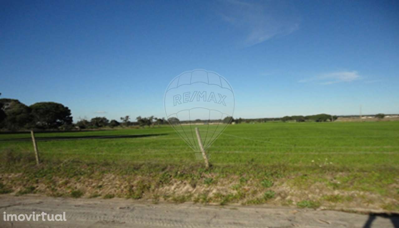 Terreno  para venda - Grande imagem: 4/8