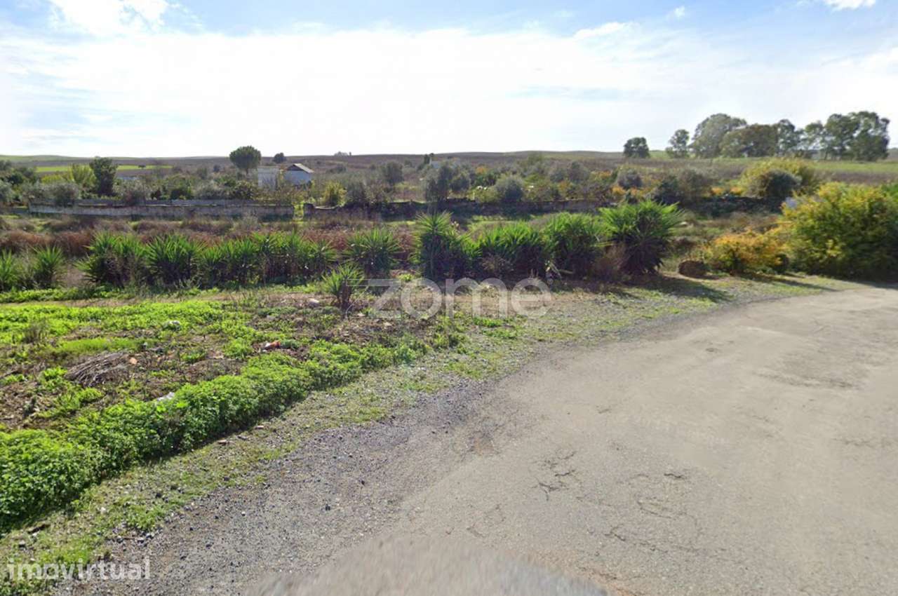 Terreno rustico com pomar - Grande imagem: 5/12