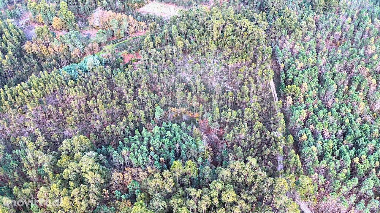 Terreno  para venda - Grande imagem: 4/4