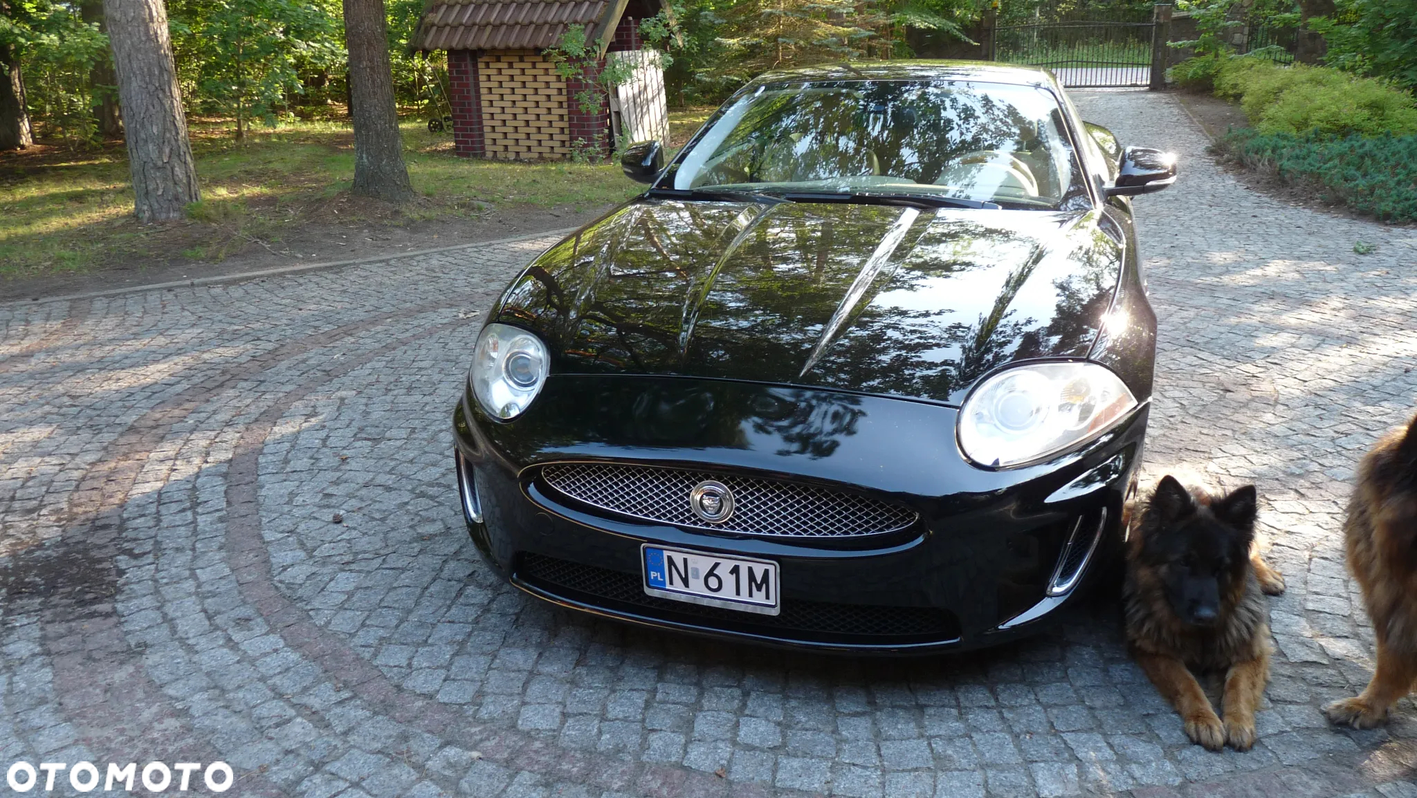 Jaguar XK 5.0 Coupe Portfolio - 5