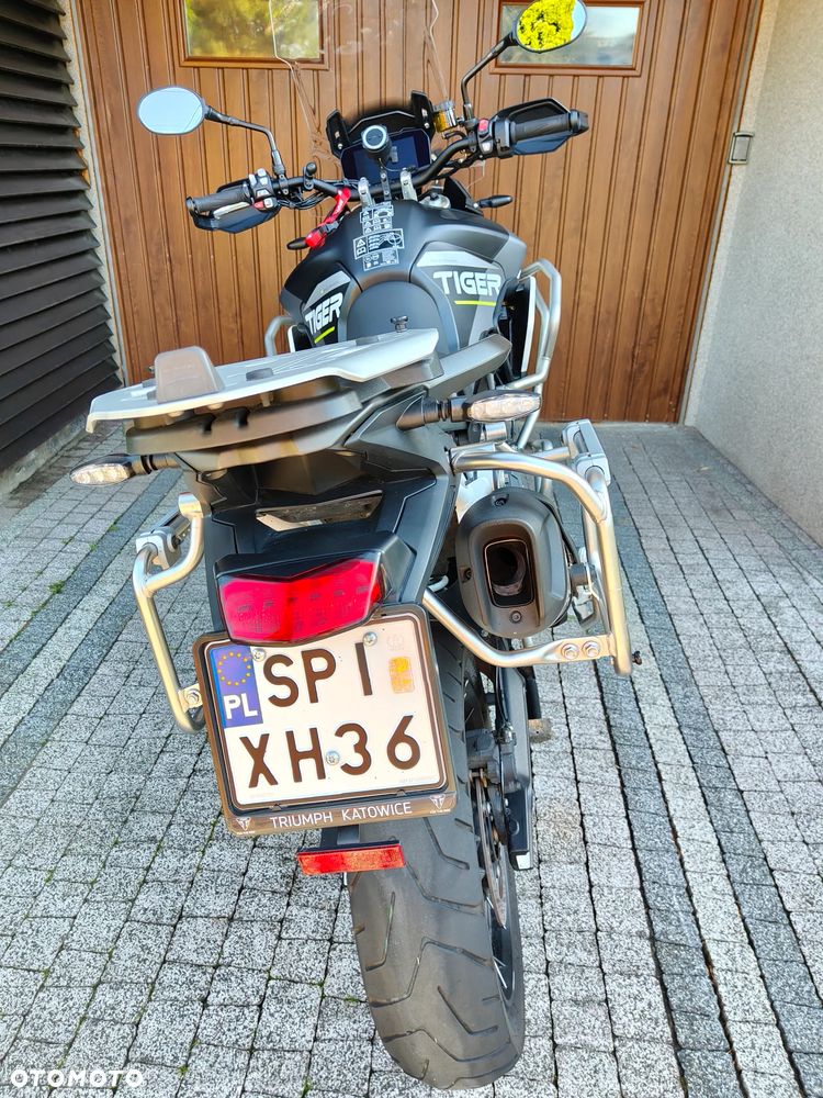Triumph Tiger - 11