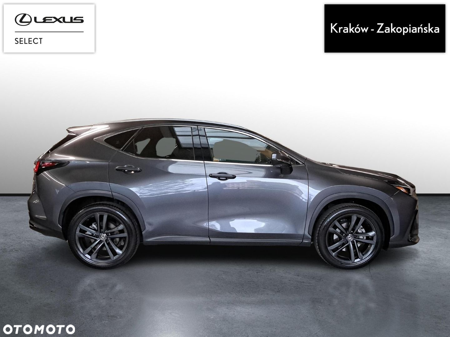 Lexus NX - 6