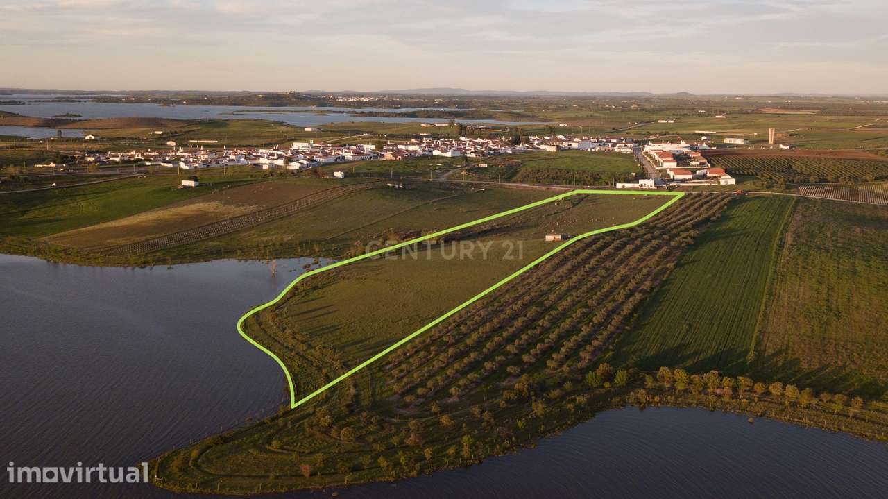 Terreno Rústico com Vista Privilegiada para o Alqueva - Luz, Alentejo - Grande imagem: 3/10