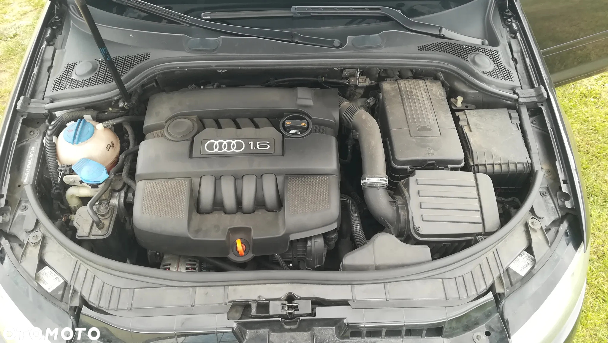 Audi A3 1.6 Ambition - 14