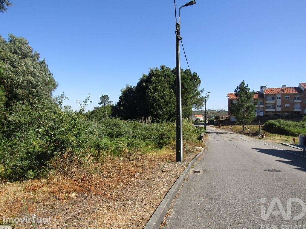 Terreno Agrícola em Sandim, Olival, Lever e Crestuma - Grande imagem: 5/15