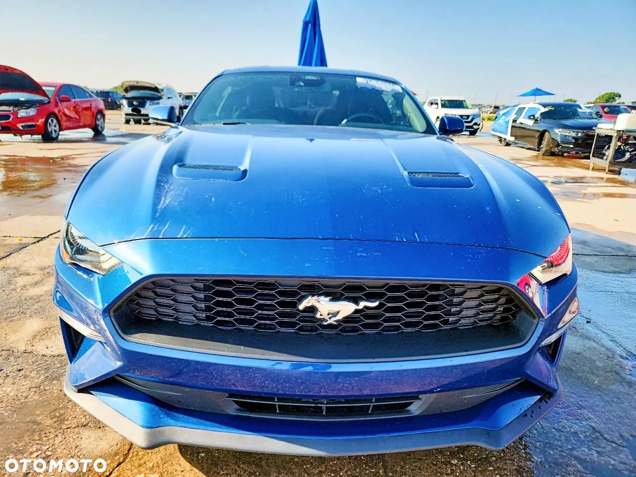 Ford Mustang 2.3 Eco Boost - 5