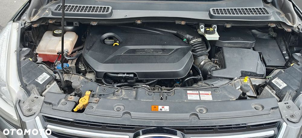Ford Kuga 1.6 EcoBoost 2x4 Individual - 20