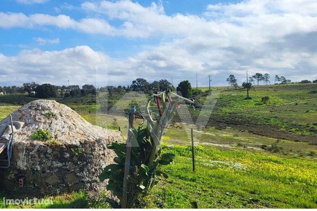 Terreno com 126 Hectares em Odemira - Grande imagem: 4/21
