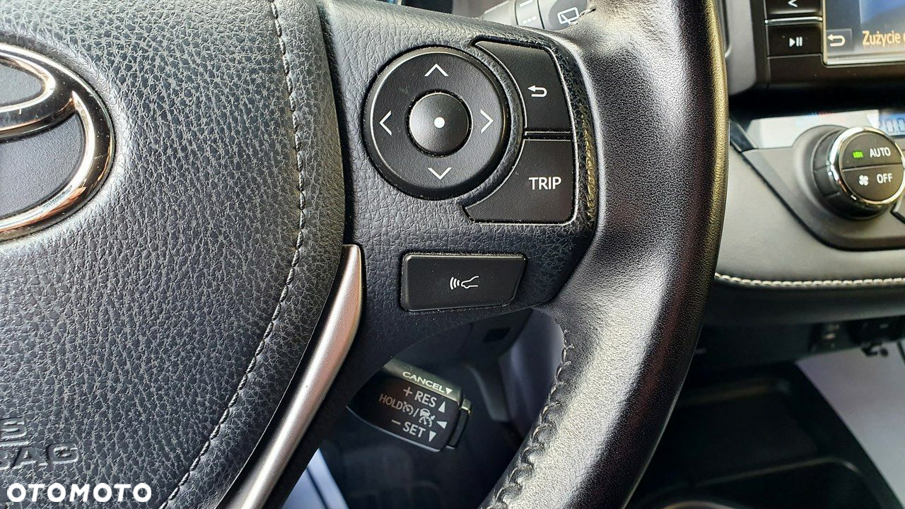 Toyota RAV4 - 32