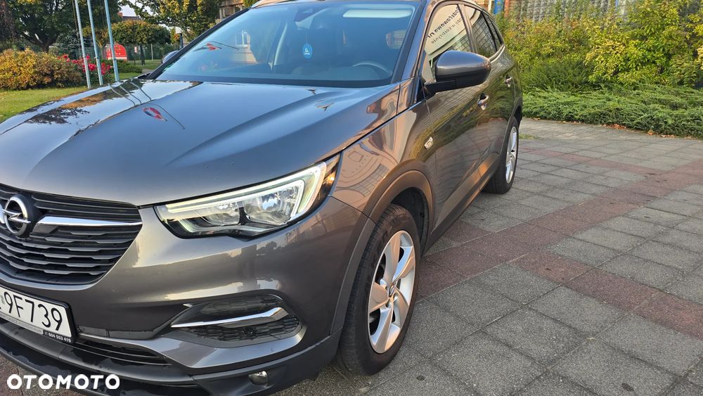 Opel Grandland X - 19