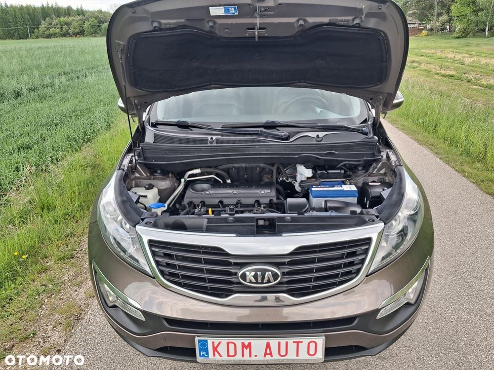Kia Sportage - 17