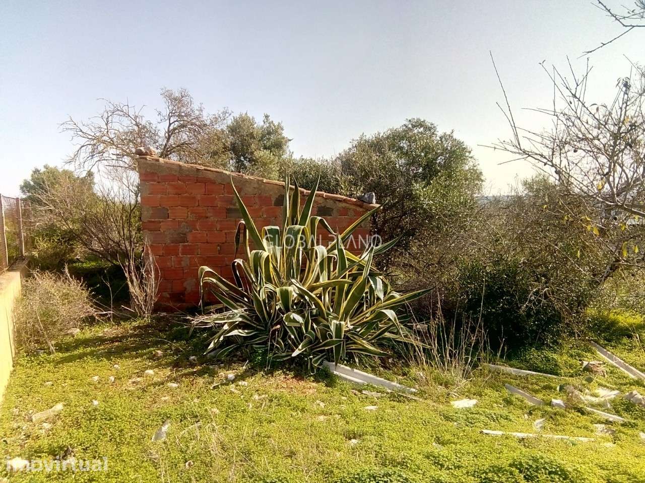 Terreno na Mexilhoeira Grande - Grande imagem: 2/20