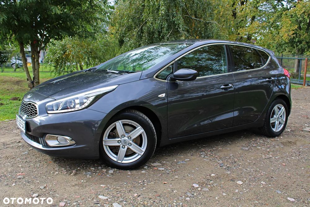 Kia Ceed 1.6 CRDi 128 Fifa World Cup Edition - 39