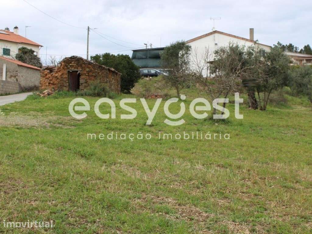 Terreno com 3080m2 de área localizado no Centro de Portugal - Grande imagem: 3/28