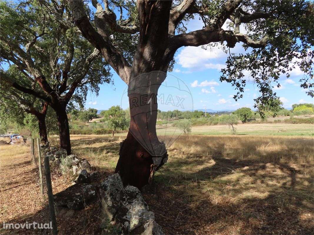 Quinta  para venda - Grande imagem: 3/21