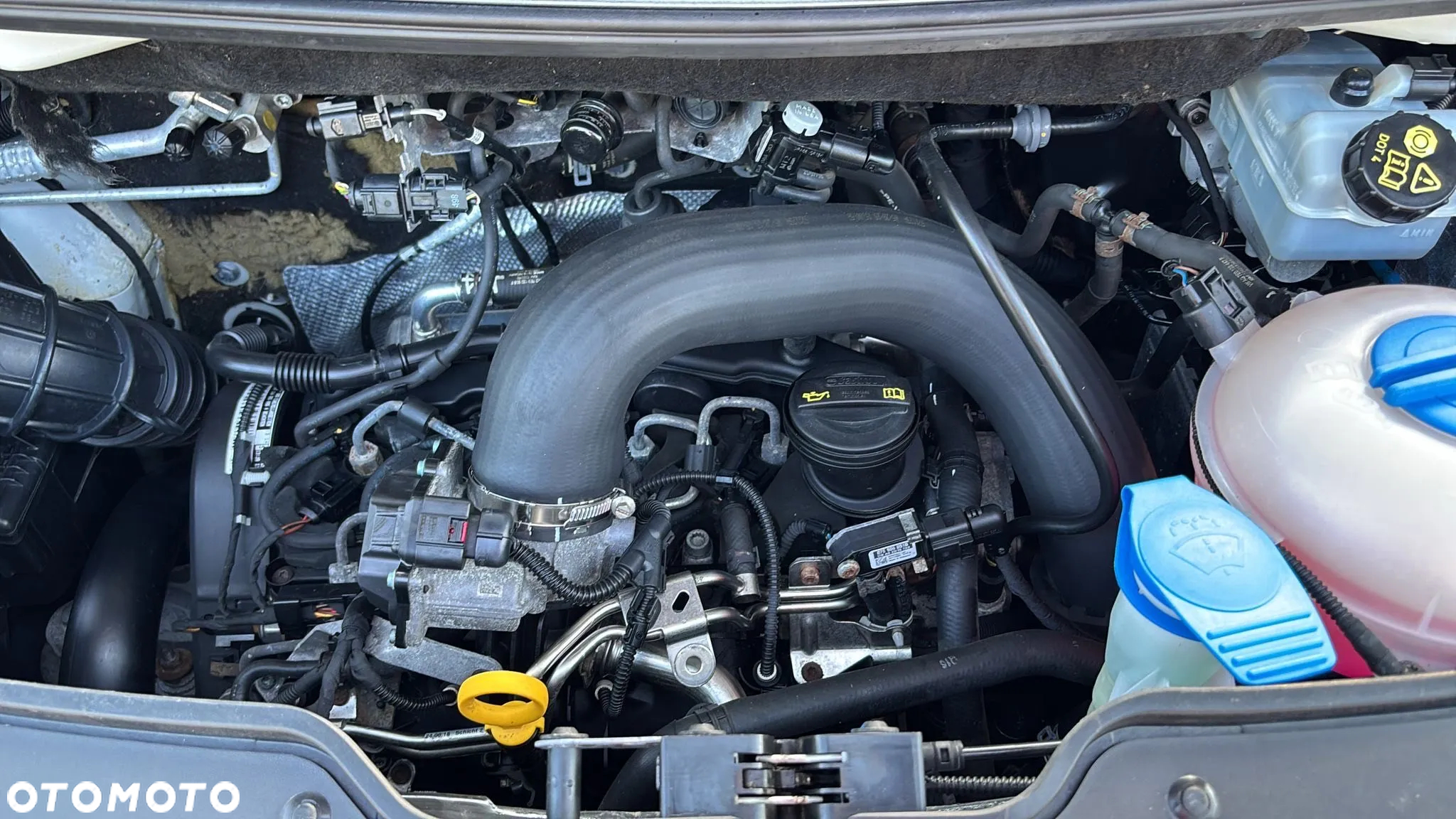 Volkswagen Transporter T6 - 30