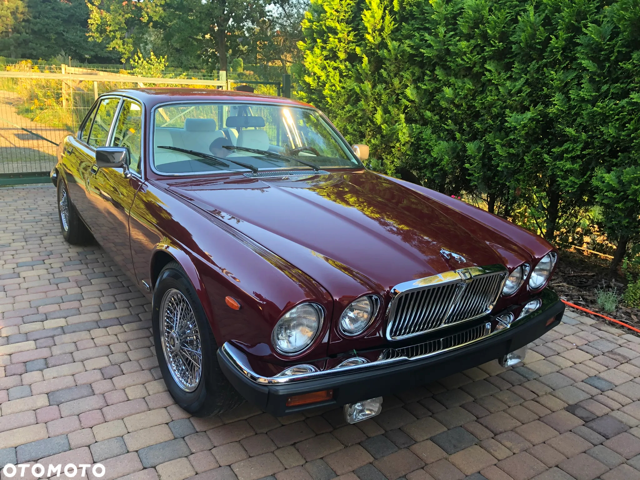 Jaguar XJ - 12