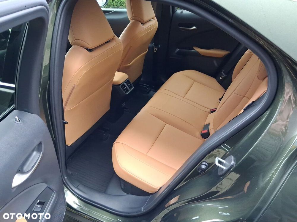 Lexus UX 300h F Sport Design - 22