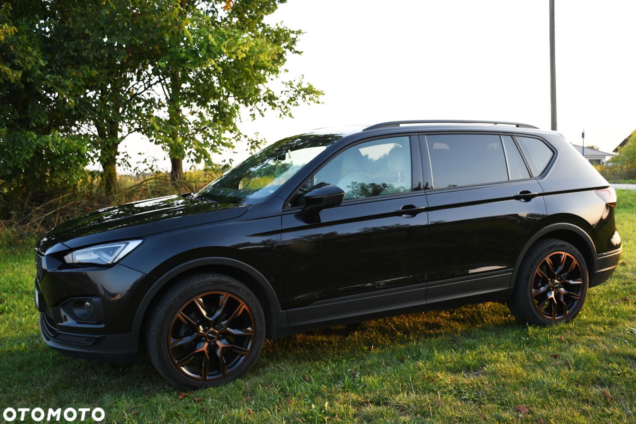 Seat Tarraco 2.0 TDI Xperience S&S DSG - 1
