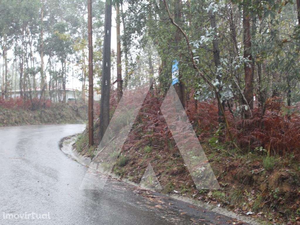 Terreno para construção de moradia em Sever do Vouga - Grande imagem: 5/17