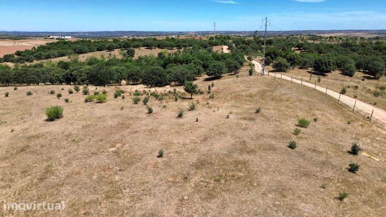 Terreno Rústico à venda em Moura - Grande imagem: 3/16