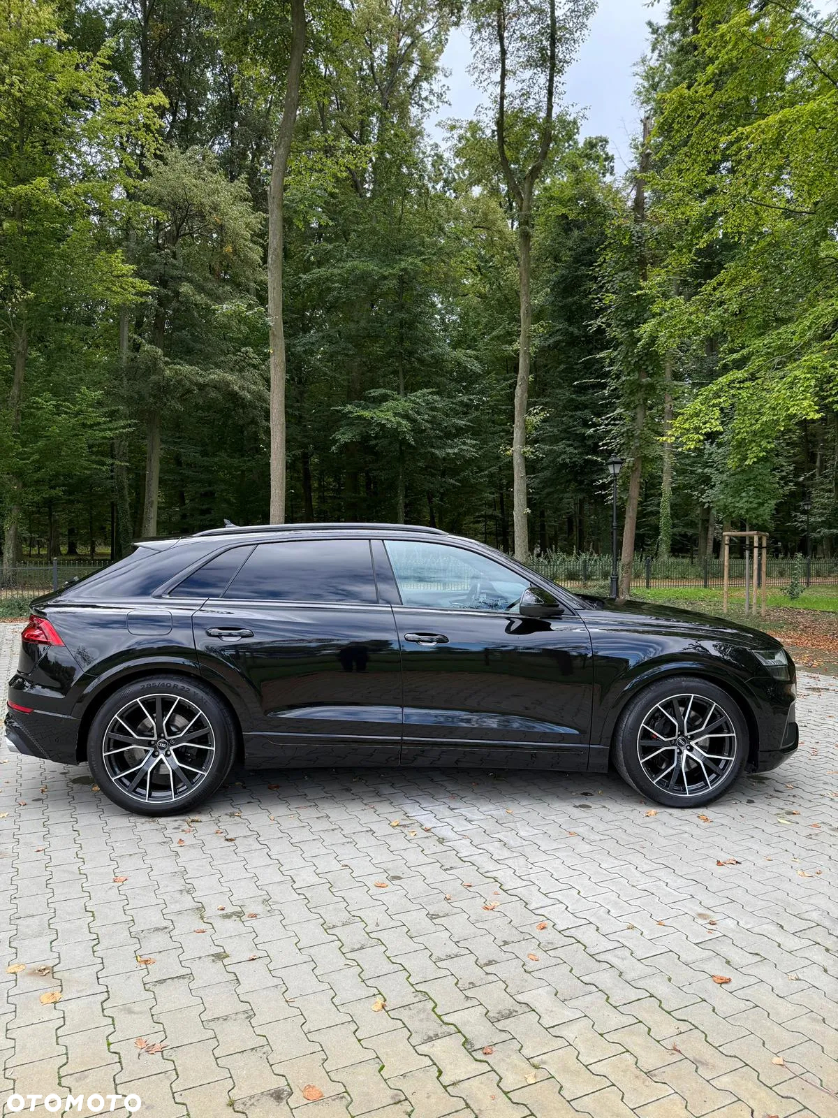 Audi SQ8 TFSI Quattro Tiptronic - 8