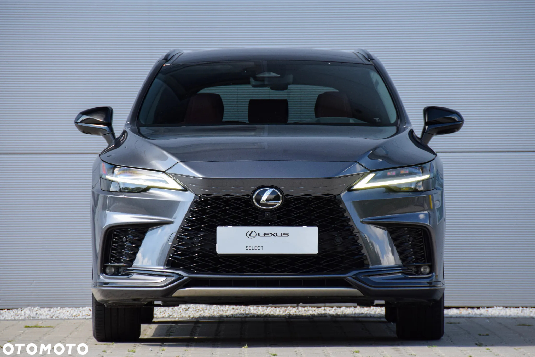 Lexus RX - 17