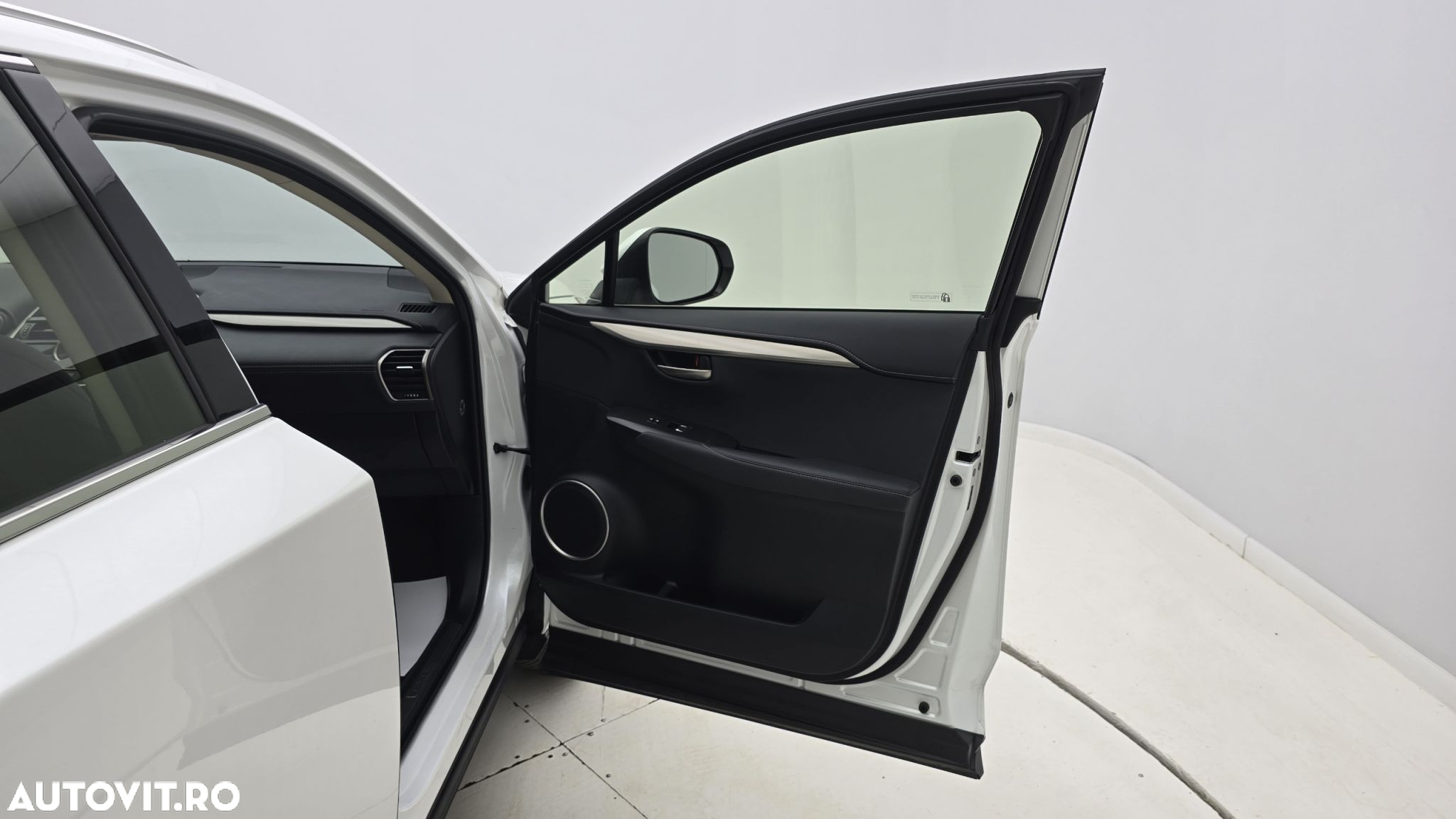 Lexus Seria NX - 18