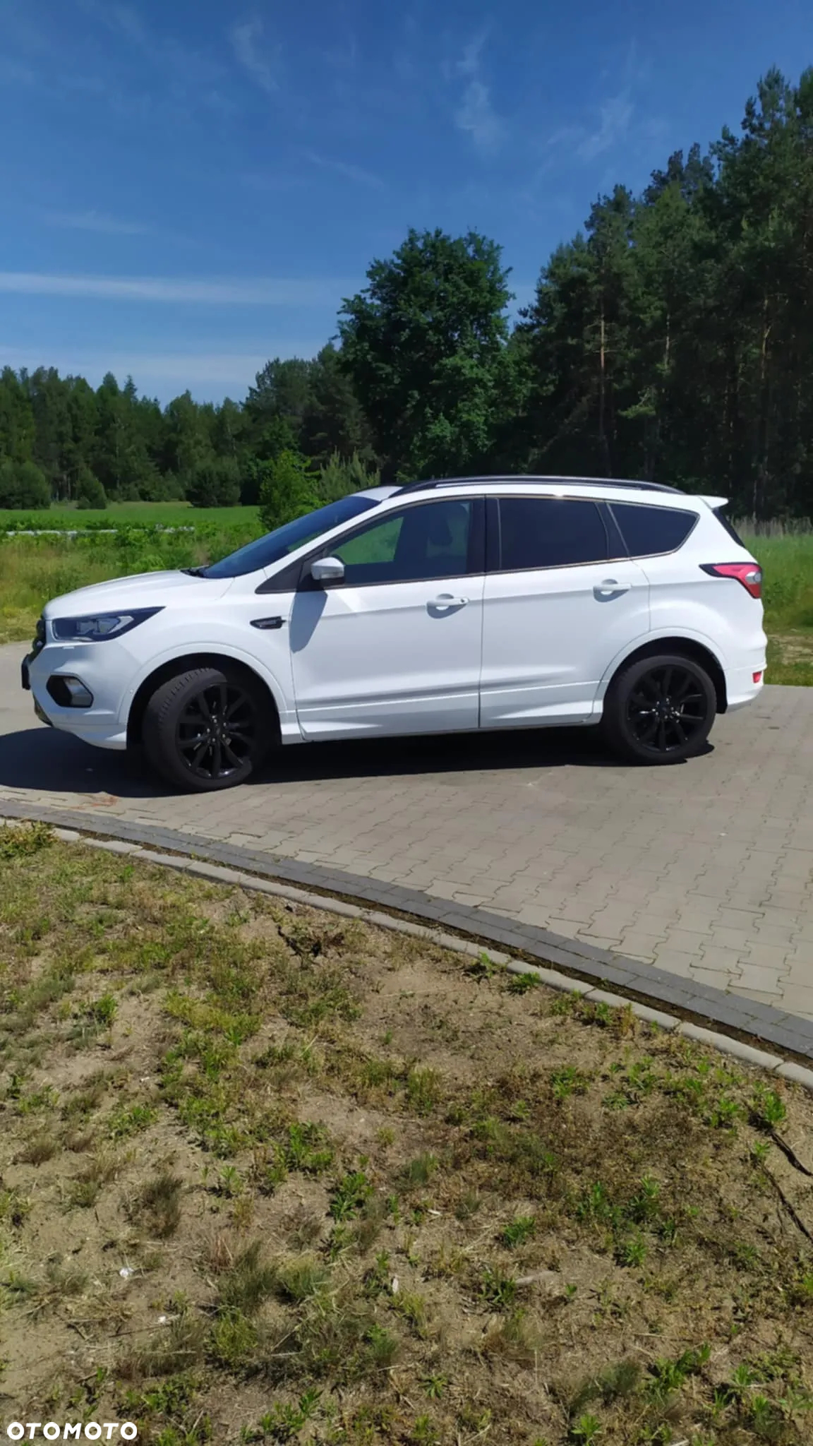 Ford Kuga 1.5 EcoBoost 2x4 ST-Line - 3