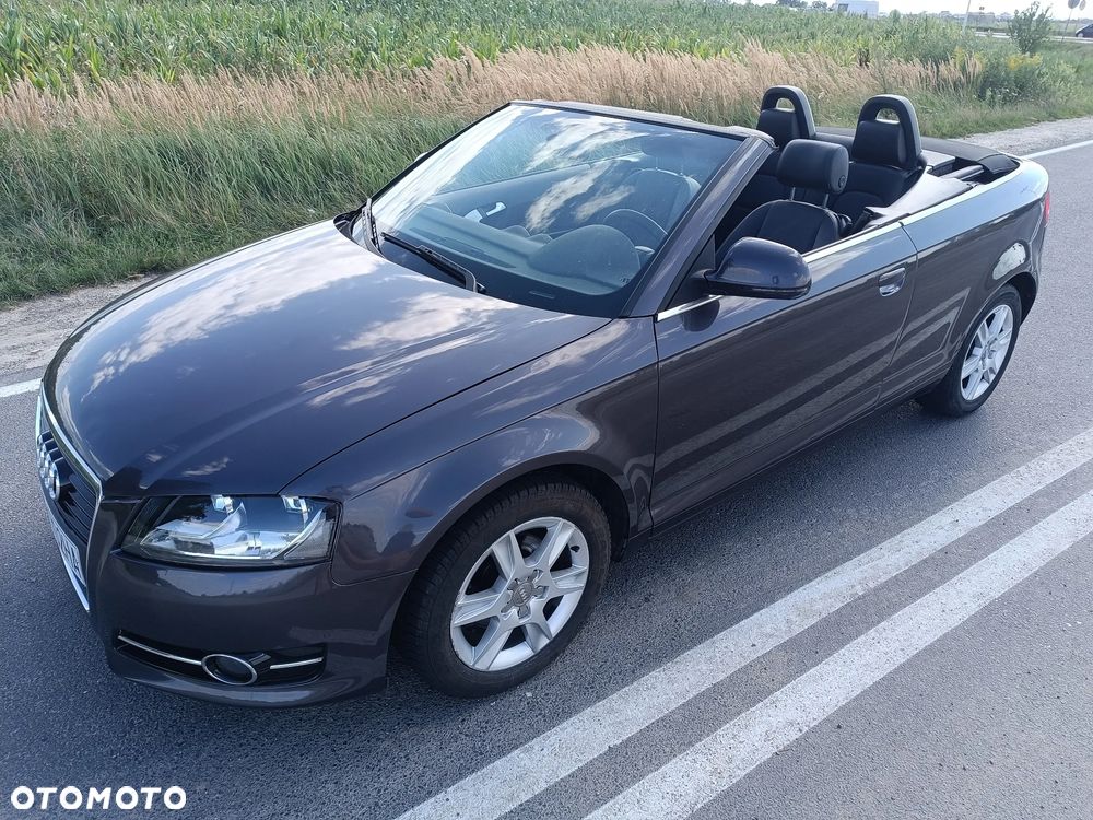 Audi A3 Cabrio 1.9 TDI DPF Ambition - 13