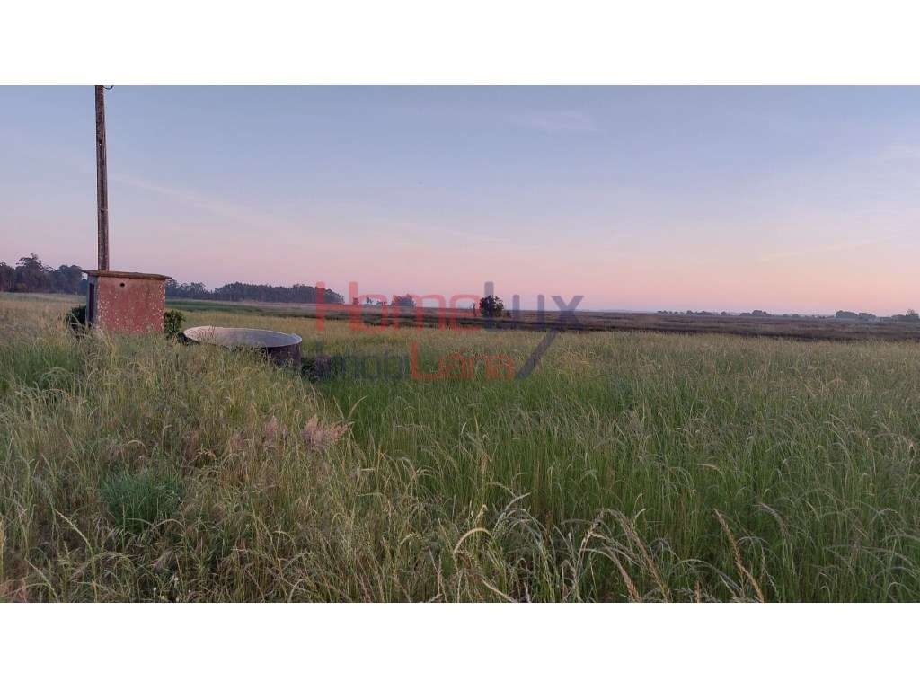 Quinta em Válega - Grande imagem: 2/23