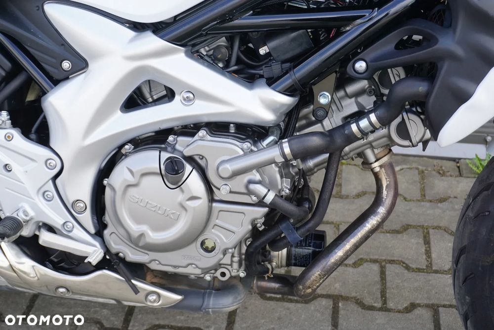 Suzuki Gladius - 8