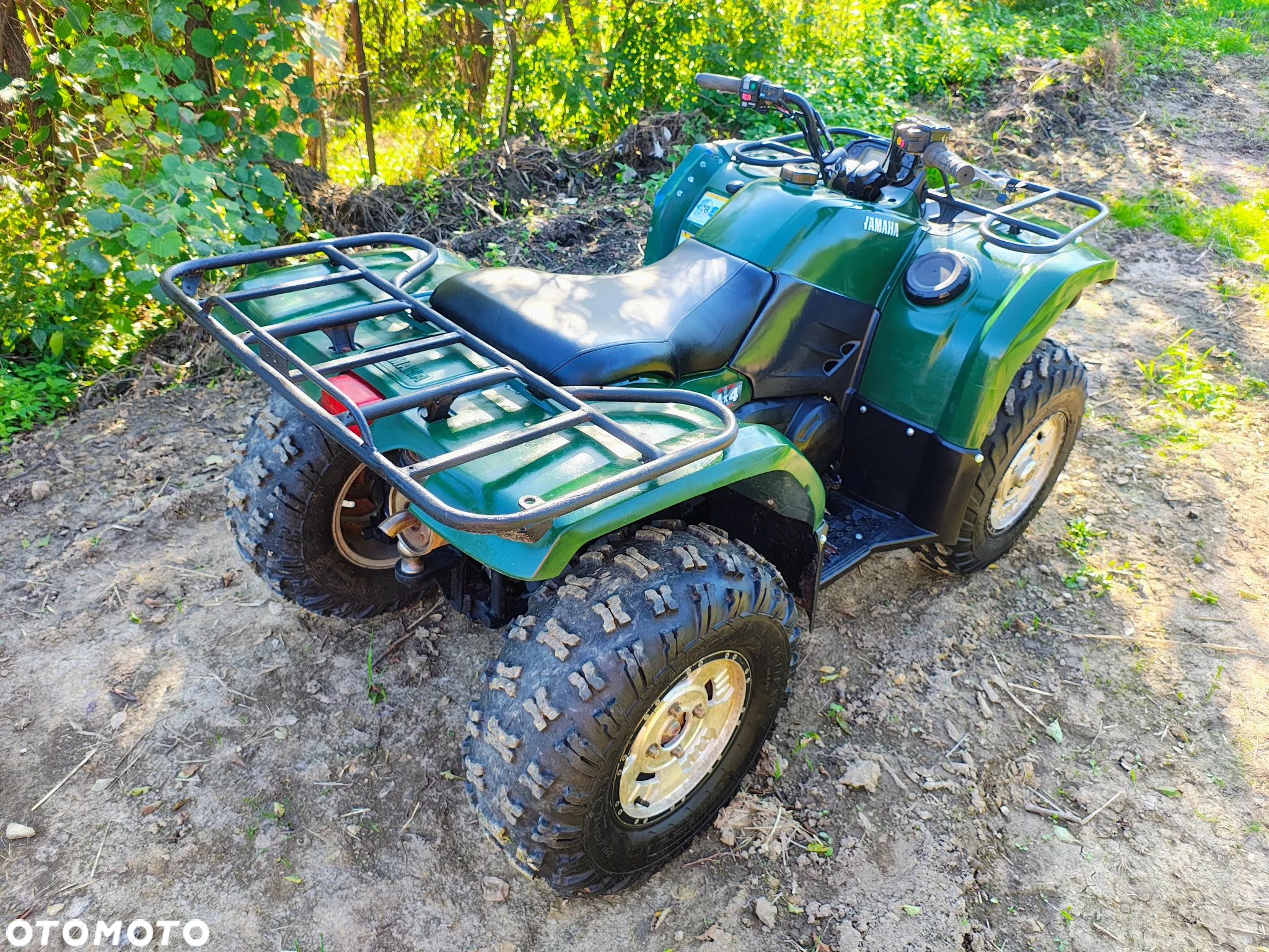 Yamaha Grizzly - 10