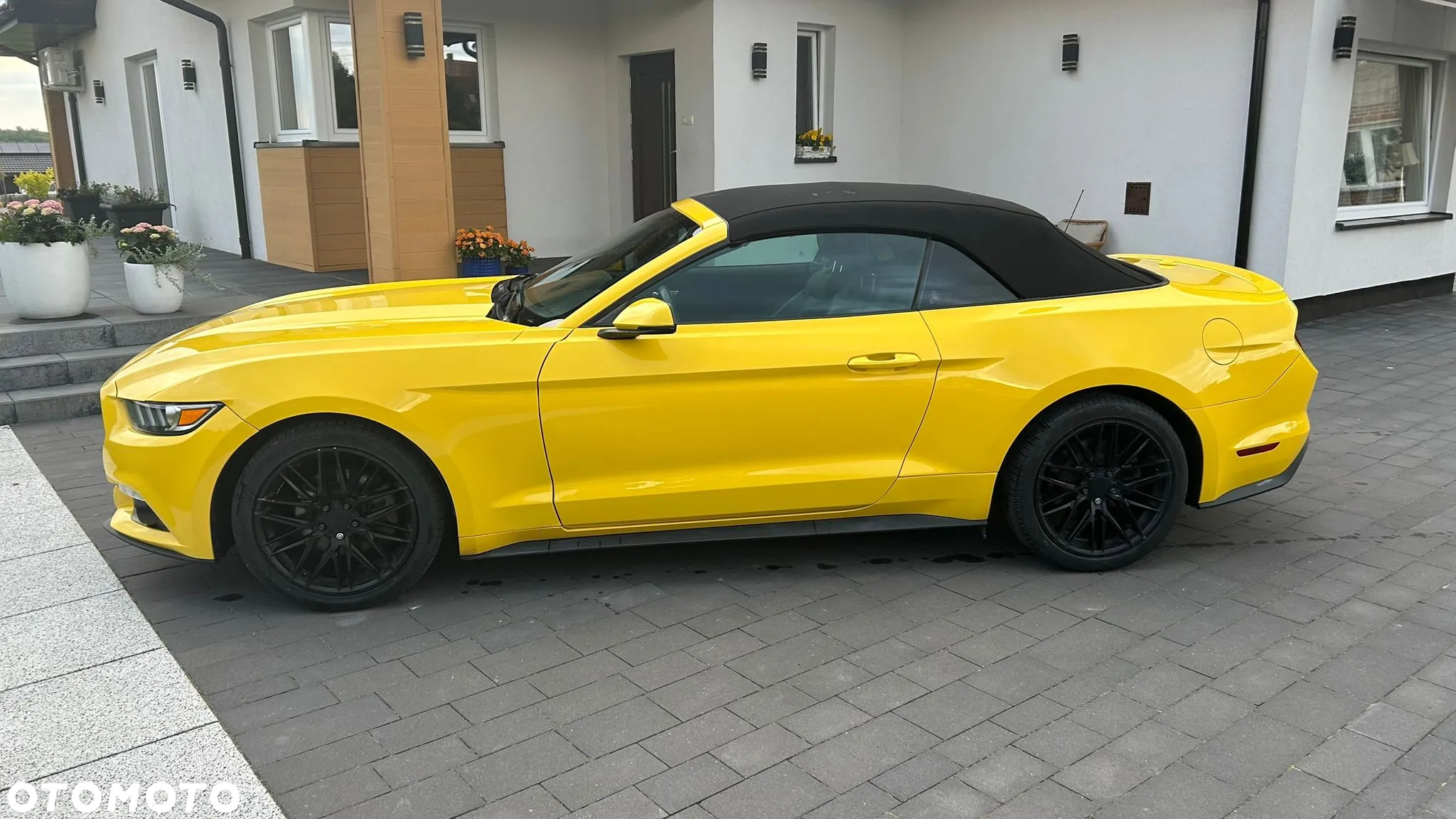 Ford Mustang 2.3 EcoBoost - 7