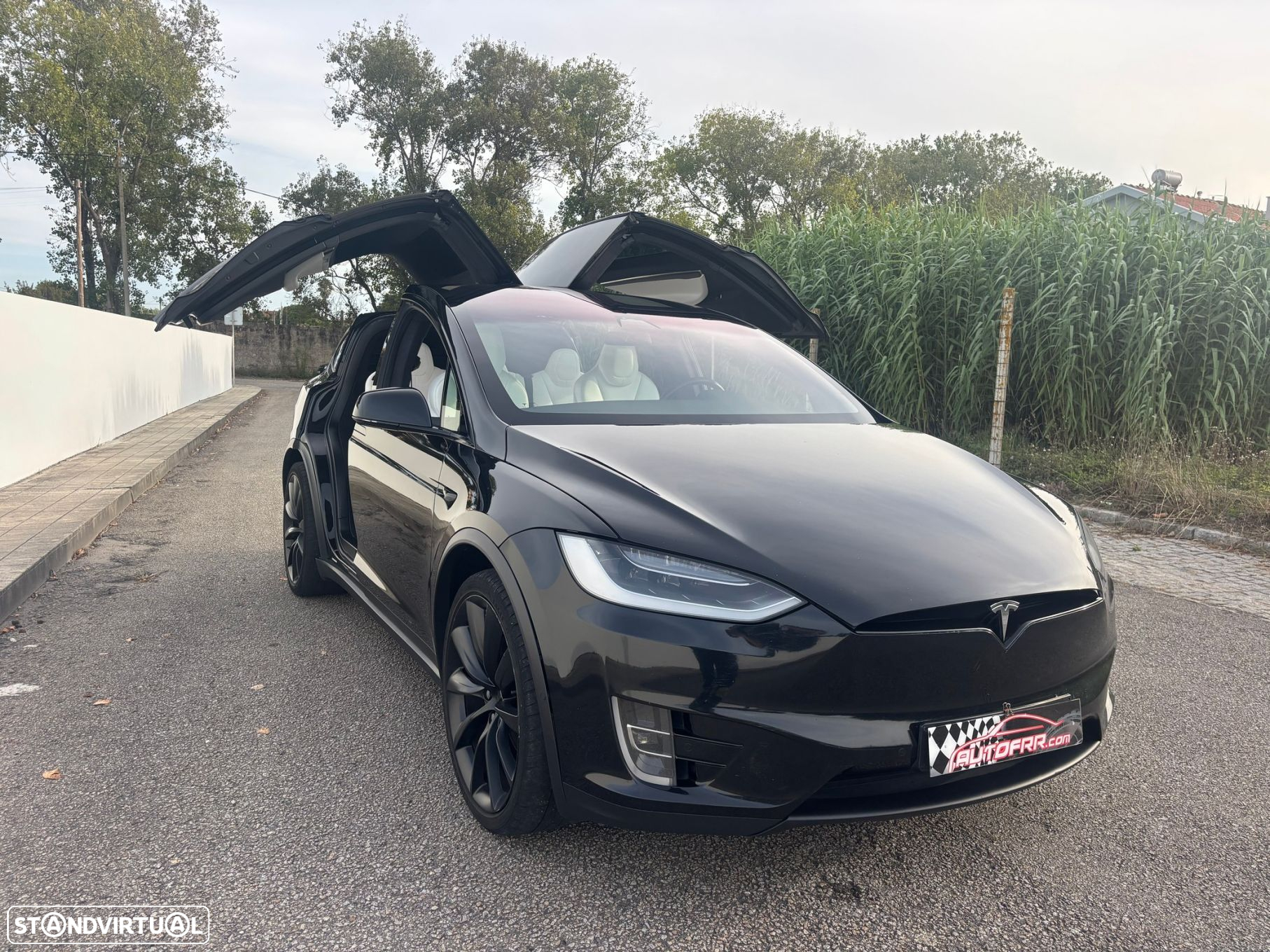 Tesla Model X 100 kWh Long Range Plus AWD - 6