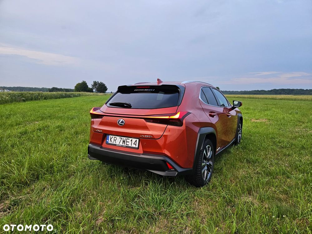 Lexus UX 250h GPF Omotenashi AWD - 4